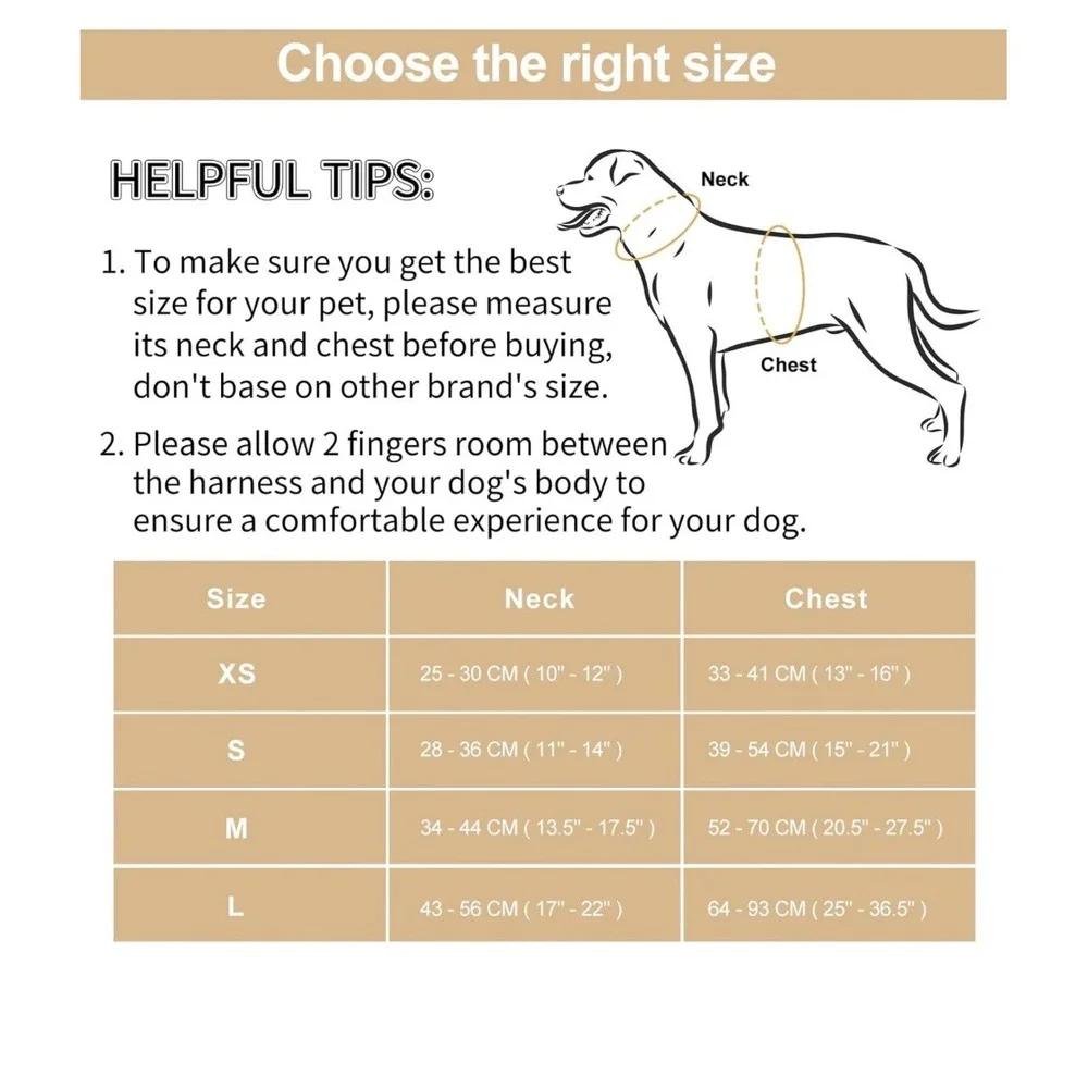 Wisedog introducing pet